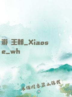 游戲王朝