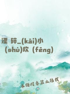 湮華碎