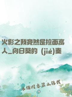火影之我竟然是拉面高人