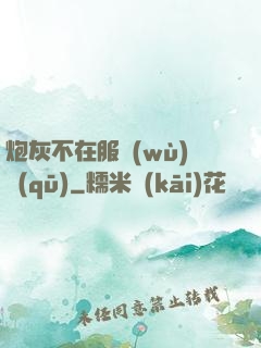 炮灰不在服務(wù)區(qū)