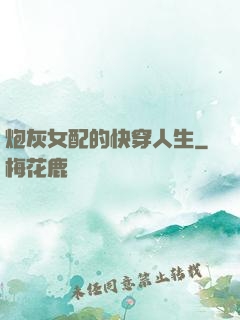 炮灰女配的快穿人生