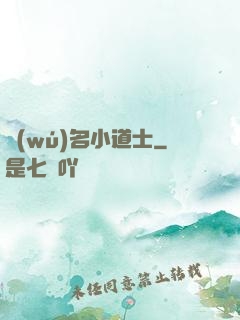 無(wú)名小道士