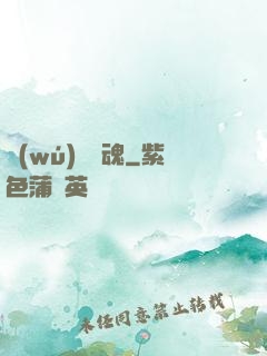 無(wú)敵劍魂