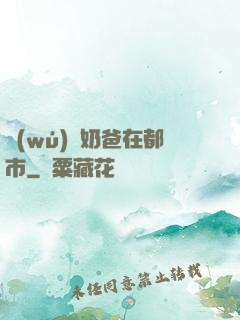 無(wú)敵奶爸在都市