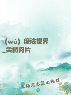 無(wú)盡魔法世界