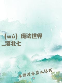 無(wú)盡魔法世界
