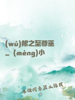 無(wú)限之至尊巫師