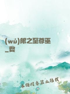 無(wú)限之至尊巫師