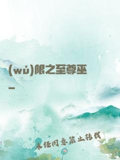無(wú)限之至尊巫師