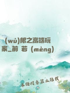 無(wú)限之高端玩家