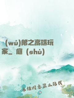 無(wú)限之高端玩家