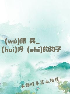 無(wú)限槍兵