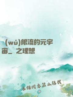 無(wú)限流的元宇宙