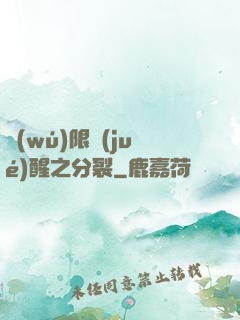 無(wú)限覺(jué)醒之分裂
