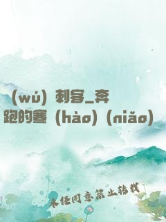 無(wú)雙刺客