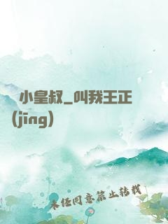 無敵小皇叔