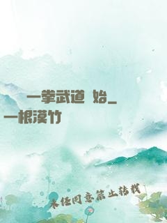 無敵從一拳武道開始