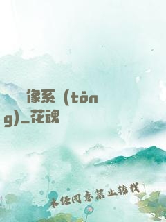 無敵鏡像系統(tǒng)