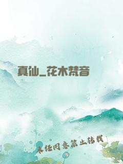 無極真仙