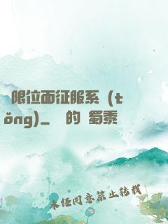 無限位面征服系統(tǒng)