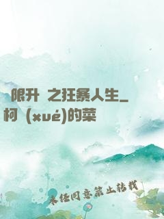 無限升級之狂暴人生