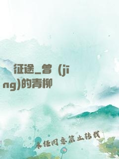 無雙征途
