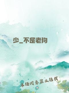 無雙龍少