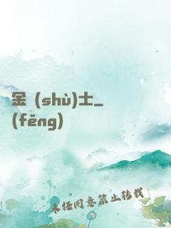 煉金術(shù)士