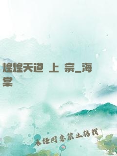 煌煌天道無上劍宗