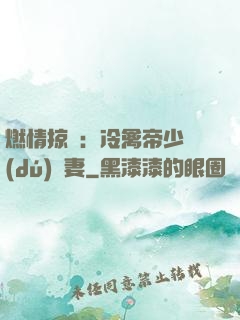 燃情掠愛：冷禽帝少獨(dú)寵妻