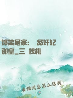 爆笑冤家：極品奸妃戲邪皇
