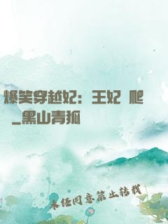 爆笑穿越妃：王妃愛爬墻