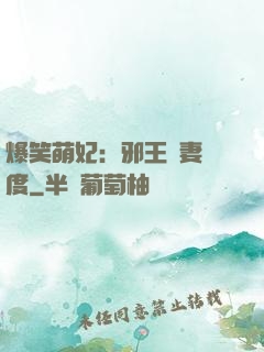 爆笑萌妃：邪王寵妻無度