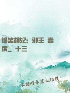 爆笑萌妃：邪王寵妻無度