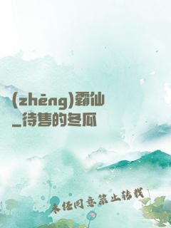 爭(zhēng)霸仙塵