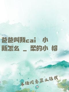 爸爸叫我cai媽媽小新怎么讀