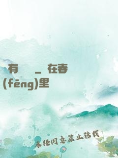 爺有兩桿槍