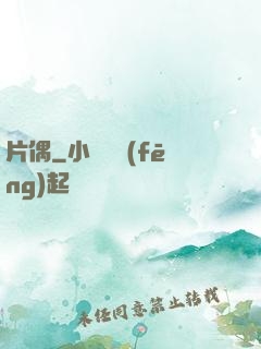 片偶
