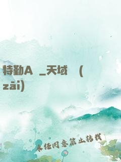 特勤A組