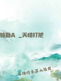 特勤A組