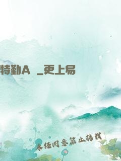 特勤A組