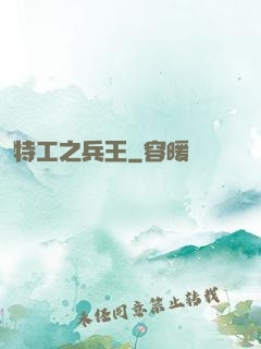 特工之兵王
