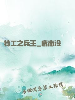 特工之兵王