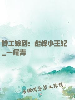 特工嫁到：彪悍小王妃