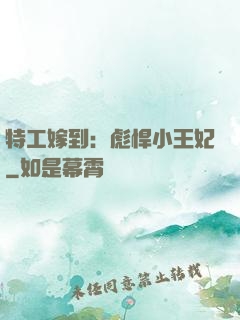 特工嫁到：彪悍小王妃