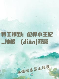 特工嫁到：彪悍小王妃