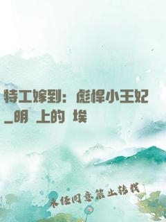 特工嫁到：彪悍小王妃