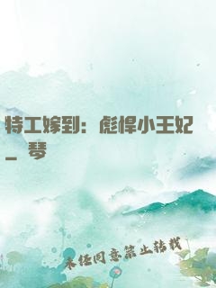特工嫁到：彪悍小王妃