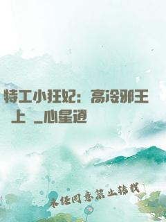 特工小狂妃：高冷邪王寵上癮