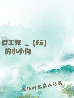 特工教師